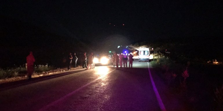 MALATYA - Hafif ticari aracın çarptığı çoban öldü1