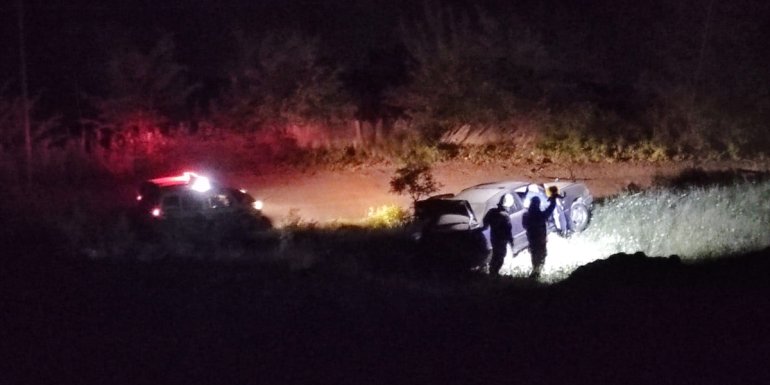 MALATYA - Park halindeki otomobil şarampole devrildi1