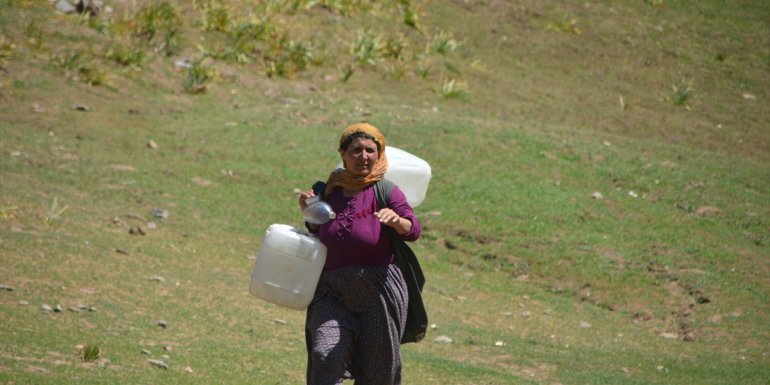 MUŞ - Berivanlar yaylalardaki hayvanları sağmak için kilometrelerce yol katediyor1