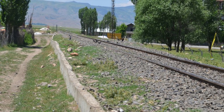 Muş'ta koyunlarını kurtarmaya çalıştığı sırada trenin çarptığı besici öldü