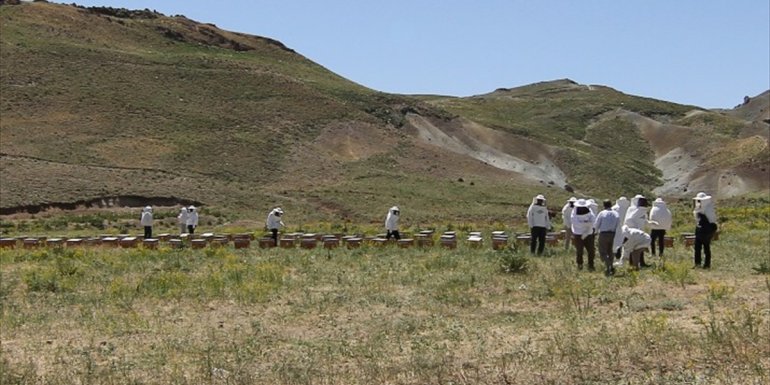 Özalp'te arıcılığa yeni başlayanlara arılı kovan desteği