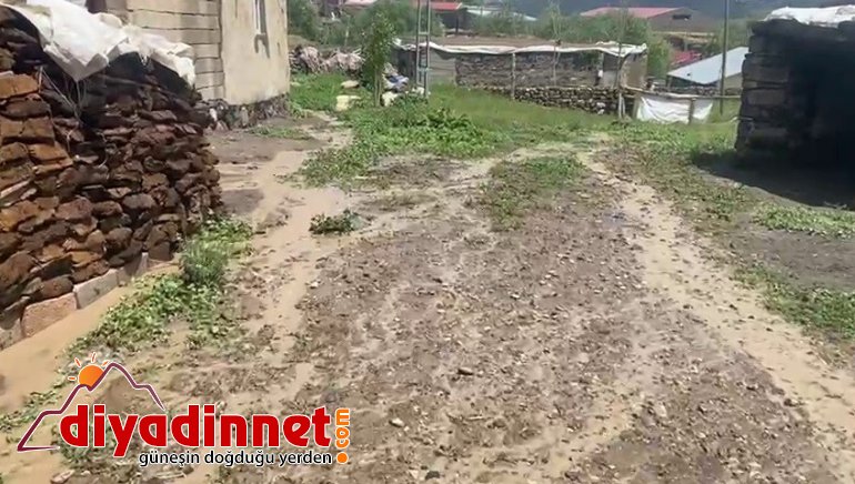 Sele kapılan hayvanlar telef oldu, yollar zarar gördü1