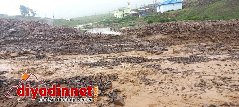 Sele kapılan hayvanlar telef oldu, yollar zarar gördü3