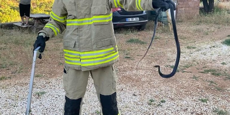 Tunceli'de binaya giren yılanı itfaiye ekipleri çıkardı