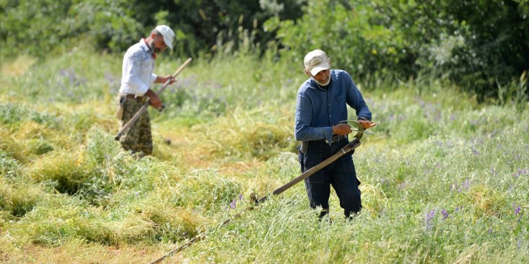 Tırpancıların köylerde ot biçme mesaisi başladı
