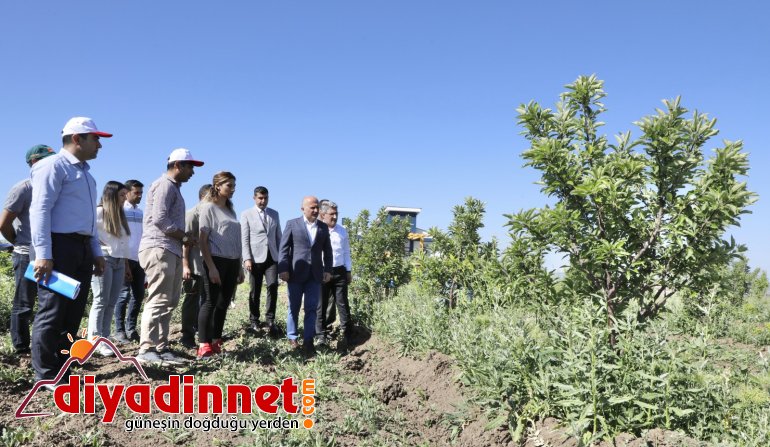 Vali Varol, Aşkale Köyünü Ziyaret Ederek Üreticilerle Bir Araya Geldi1