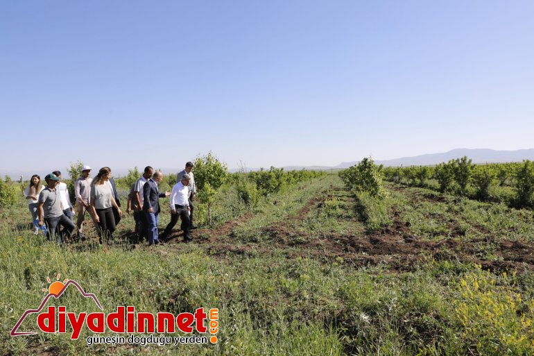 Vali Varol, Aşkale Köyünü Ziyaret Ederek Üreticilerle Bir Araya Geldi3