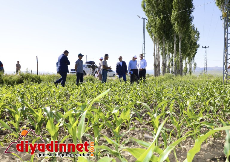 Vali Varol, Aşkale Köyünü Ziyaret Ederek Üreticilerle Bir Araya Geldi6