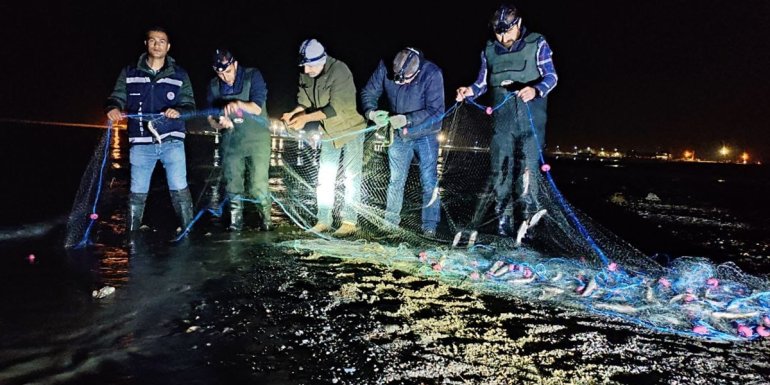 Van'da 620 kilogram kaçak avlanılan inci kefali ele geçirildi