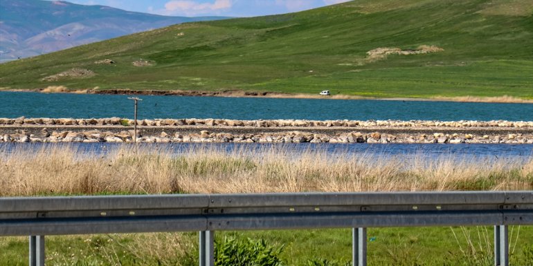 Van Gölü'nde kaçak inci kefali avlayanlara 350 bin lira ceza kesildi