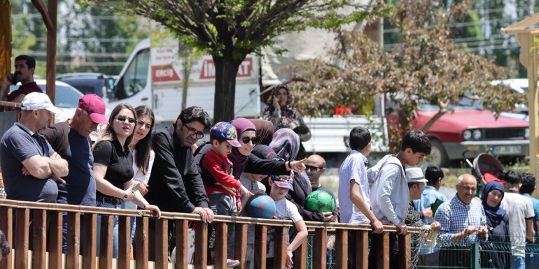 İnci kefallerinin tatlı sulara göçü sürüyor