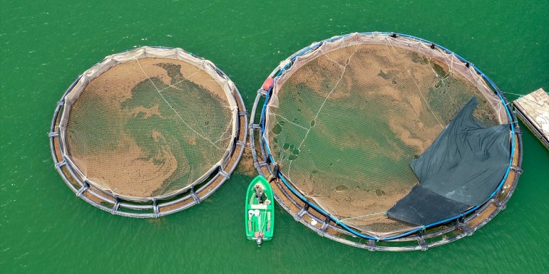VAN - Kuraklıkla dip seviyeye düşen barajlar yağışlarla hayat buldu1