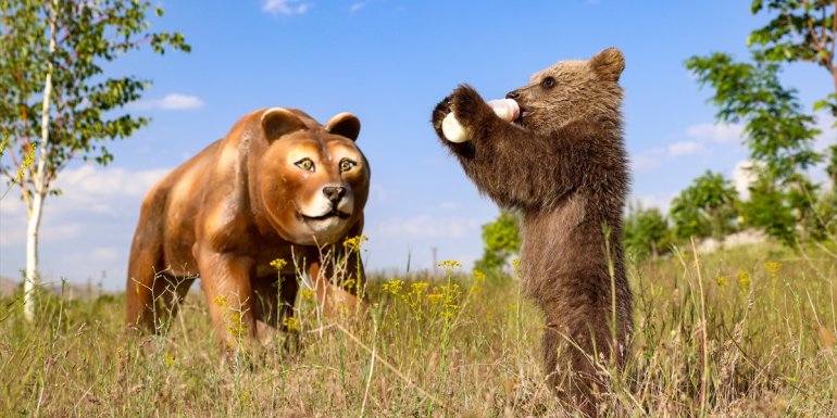 Özel bakımla hayata tutunan ayı yavrusu "Haçuvan" Bursa'ya gönderilecek