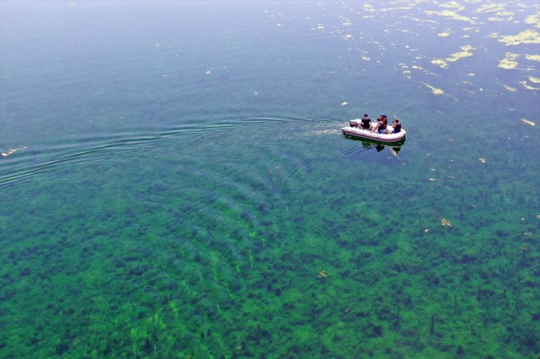 AFAD, Ağrı Dağı Milli Parkı'ndaki sulak alanda arama-kurtarma eğitimi yaptı