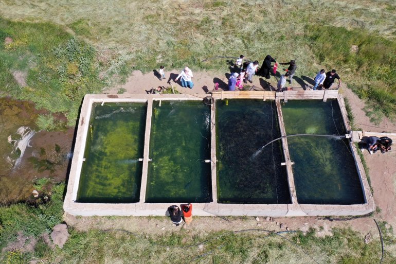 Balık Doğu - saklı ağırlıyor güzelliği AĞRI aileleri Anadolu