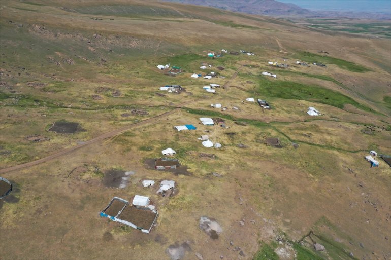 göçerleri canlanan yaylalar AĞRI Yağışlarla - ağırlıyor 13