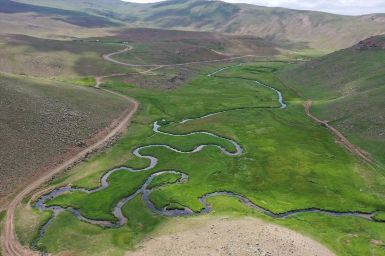 - Yağışlarla canlanan AĞRI yaylalar göçerleri ağırlıyor 14
