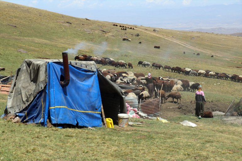 - AĞRI ağırlıyor göçerleri Yağışlarla canlanan yaylalar 3