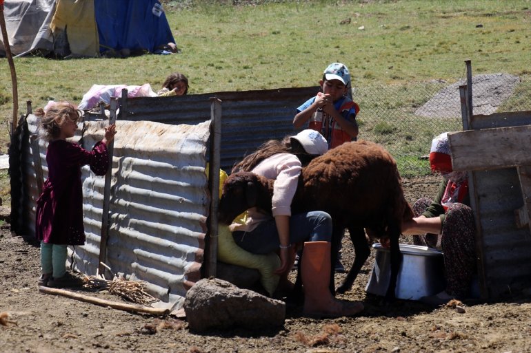 göçerleri canlanan ağırlıyor yaylalar Yağışlarla AĞRI - 21