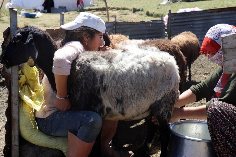 ağırlıyor canlanan AĞRI göçerleri yaylalar - Yağışlarla 22