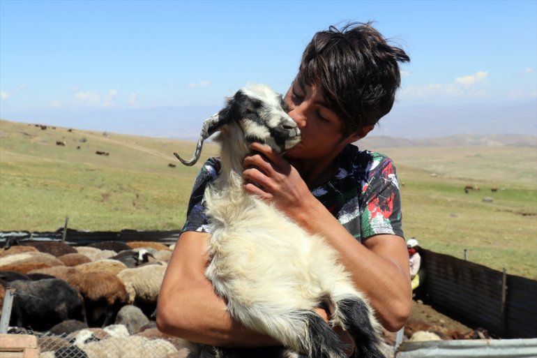 yaylalar canlanan Yağışlarla - AĞRI göçerleri ağırlıyor 5