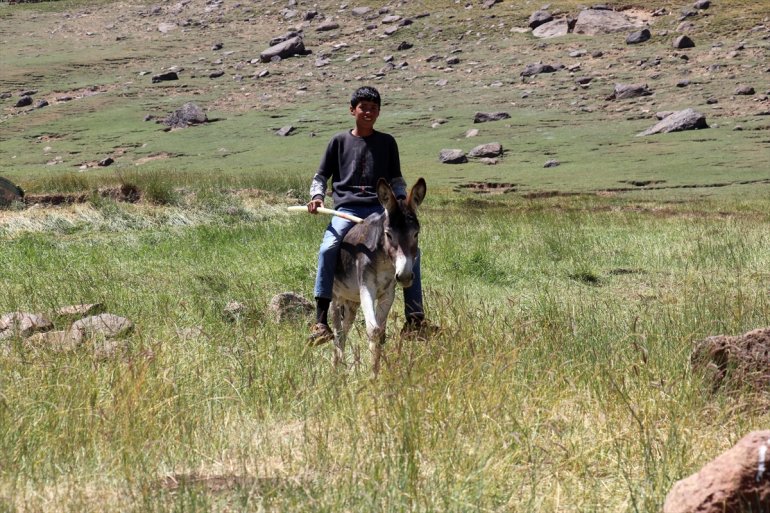 canlanan ağırlıyor - Yağışlarla göçerleri yaylalar AĞRI 6