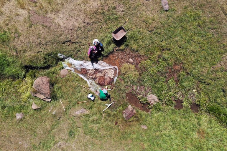 - Yağışlarla AĞRI göçerleri ağırlıyor canlanan yaylalar 8