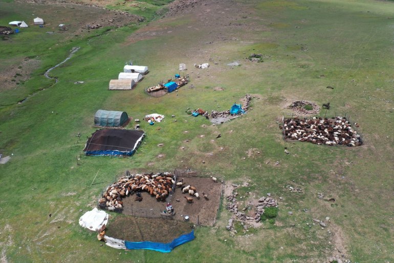 göçerleri ağırlıyor - Yağışlarla yaylalar AĞRI canlanan 9