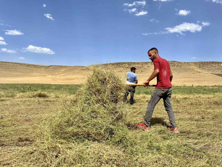 ağrı yağmur bereketi çiftçi1