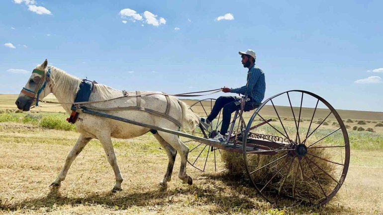 ağrı yağmur bereketi çiftçi3