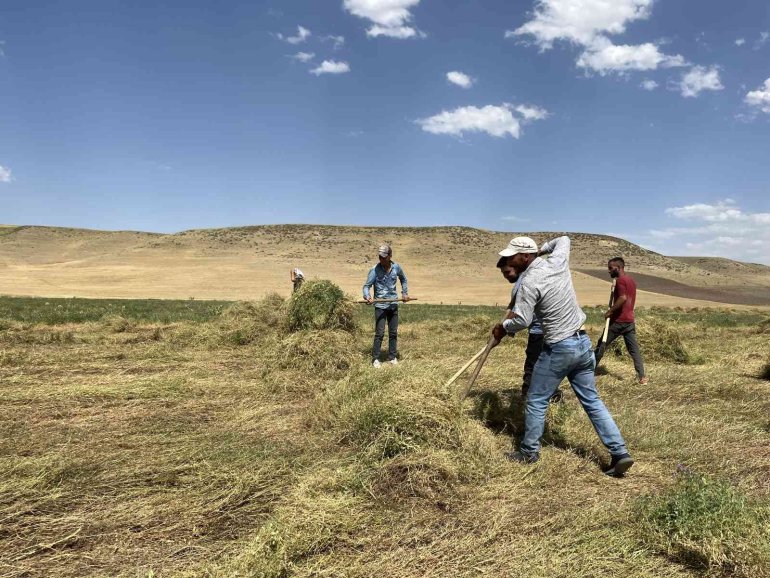 ağrı yağmur bereketi çiftçi5