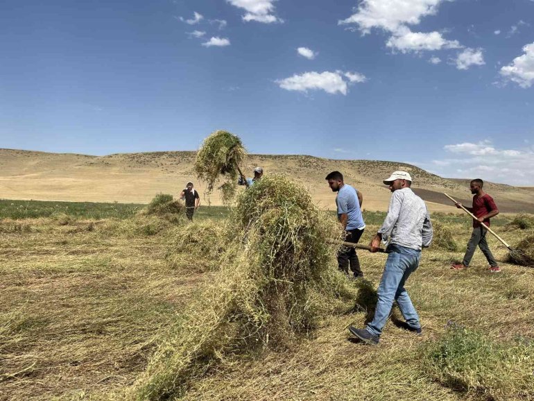 ağrı yağmur bereketi çiftçi6