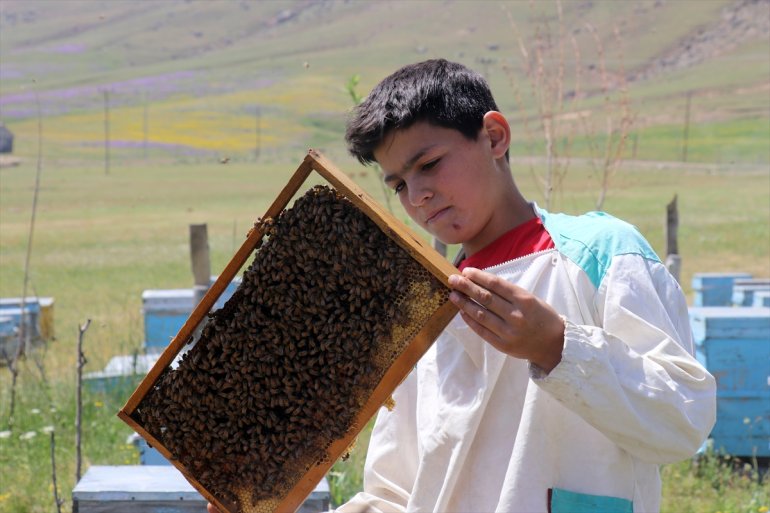 Yaylaları AĞRI geçecek bal Ağrı