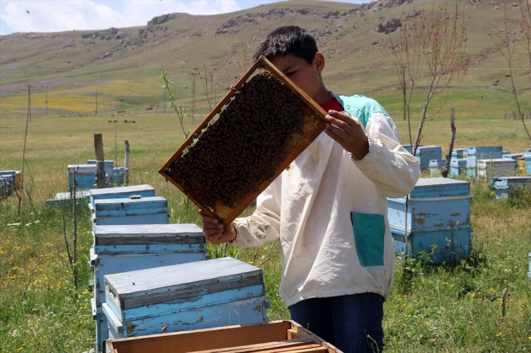 öğreniyor yaşındaki Abdulsamet arıcılığı çekirdekten Ağrılı 12 1