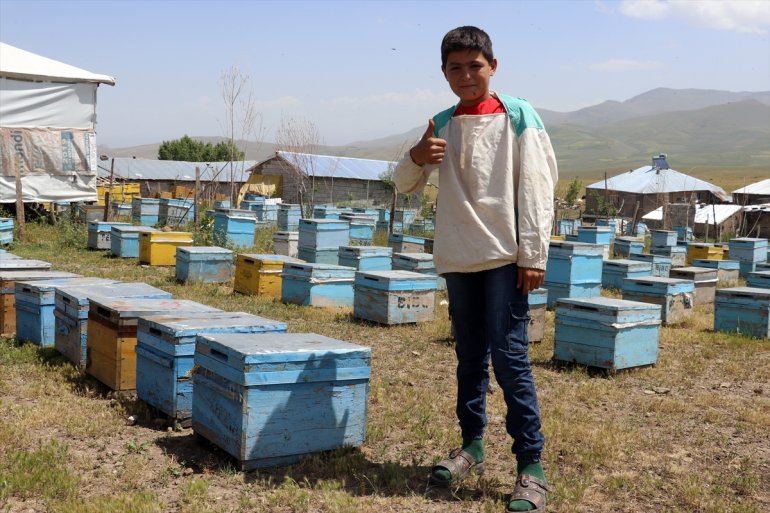 Ağrılı 12 çekirdekten yaşındaki arıcılığı Abdulsamet öğreniyor 2