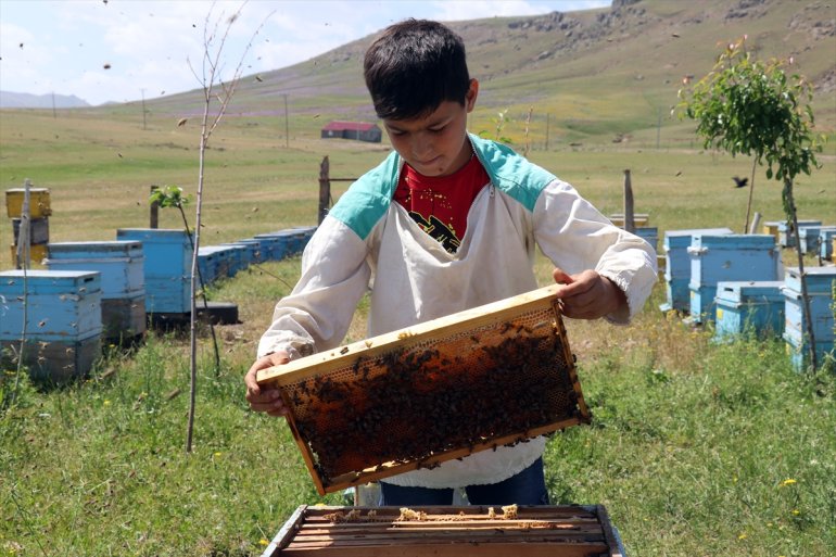 Ağrılı arıcılığı yaşındaki çekirdekten Abdulsamet öğreniyor 12 11