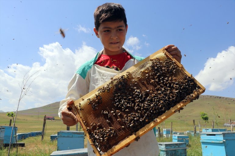 12 yaşındaki öğreniyor Ağrılı arıcılığı Abdulsamet çekirdekten 13