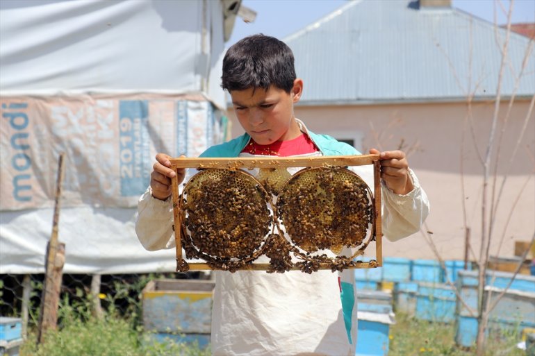 12 çekirdekten öğreniyor Abdulsamet yaşındaki Ağrılı arıcılığı 14