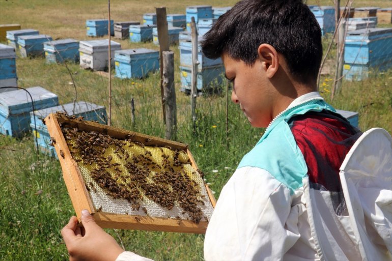 Abdulsamet 12 çekirdekten öğreniyor Ağrılı arıcılığı yaşındaki 15
