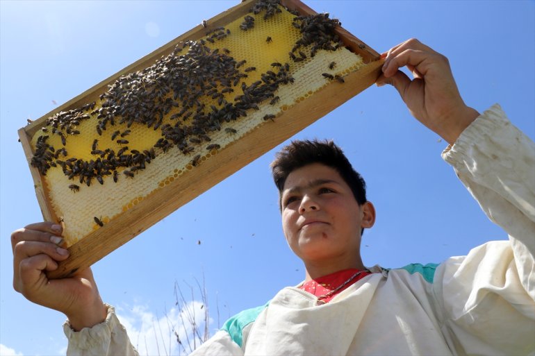 öğreniyor Abdulsamet Ağrılı 12 arıcılığı yaşındaki çekirdekten 16