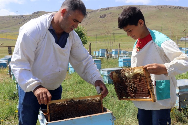 çekirdekten Abdulsamet 12 yaşındaki öğreniyor arıcılığı Ağrılı 17
