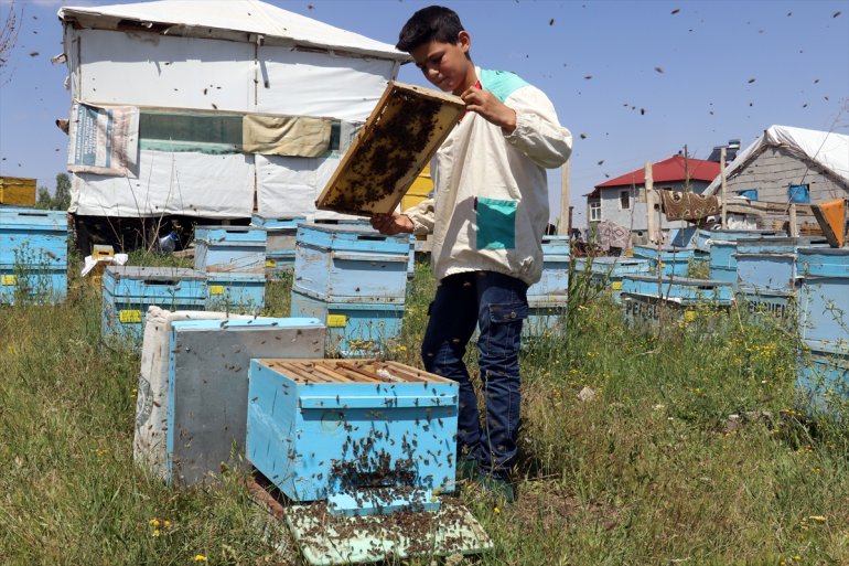 12 Abdulsamet Ağrılı çekirdekten öğreniyor arıcılığı yaşındaki 3