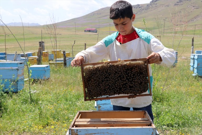 arıcılığı 12 öğreniyor yaşındaki çekirdekten Abdulsamet Ağrılı 4