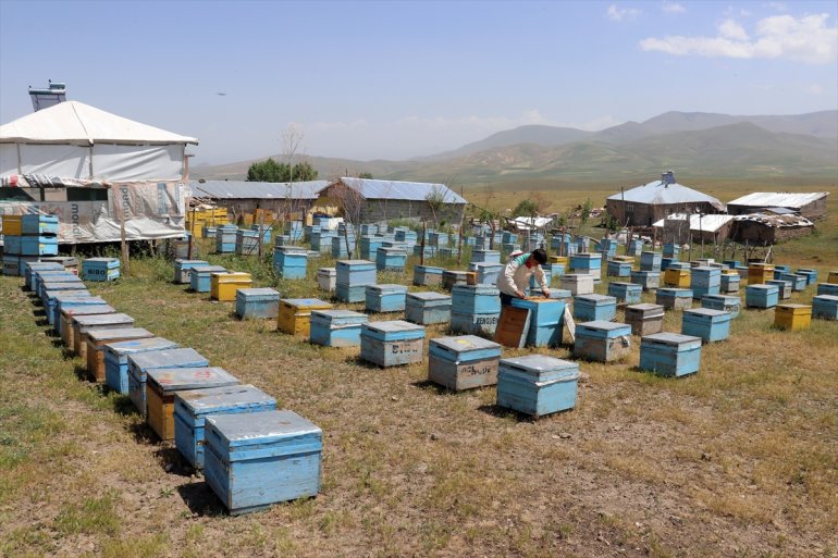 12 çekirdekten Abdulsamet öğreniyor Ağrılı arıcılığı yaşındaki 5