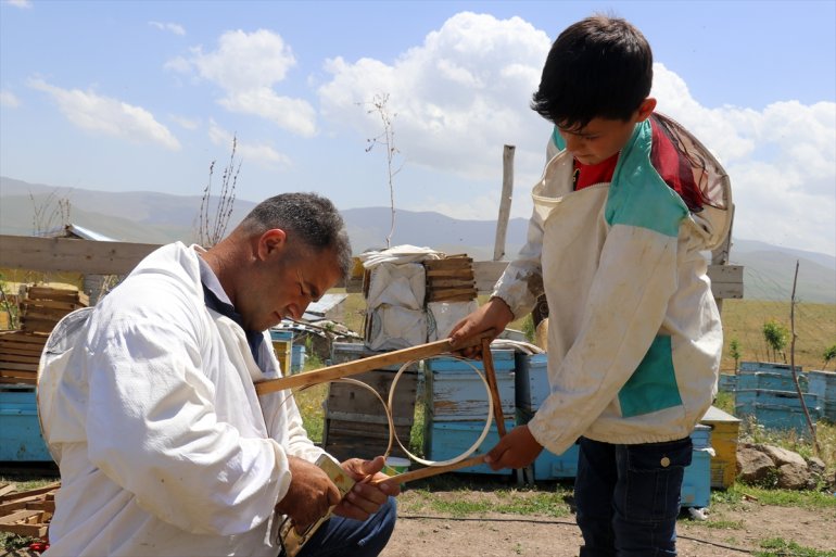 çekirdekten öğreniyor 12 Ağrılı arıcılığı Abdulsamet yaşındaki 6