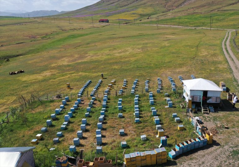 arıcılığı 12 Abdulsamet Ağrılı öğreniyor çekirdekten yaşındaki 8