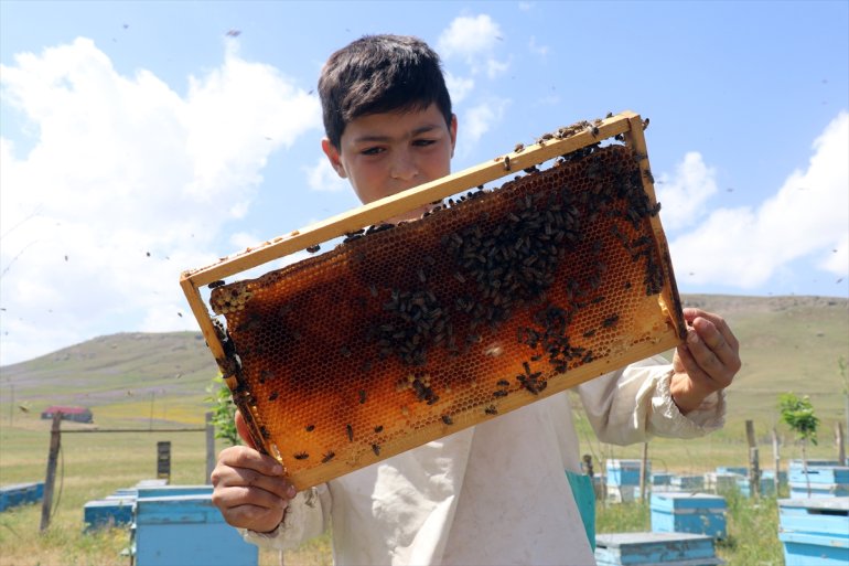 Ağrılı yaşındaki arıcılığı Abdulsamet çekirdekten 12 öğreniyor 9