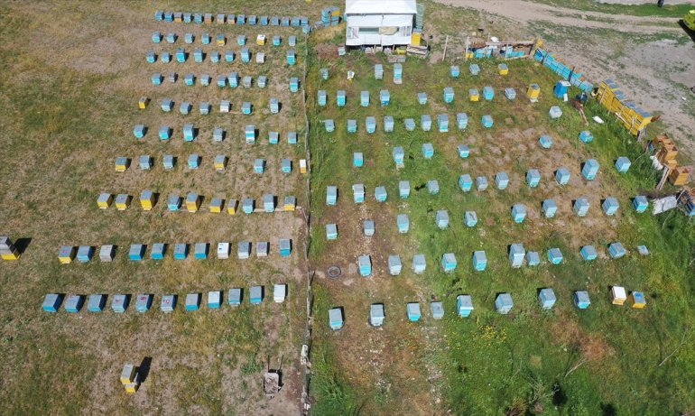 12 Abdulsamet arıcılığı çekirdekten öğreniyor Ağrılı yaşındaki 10