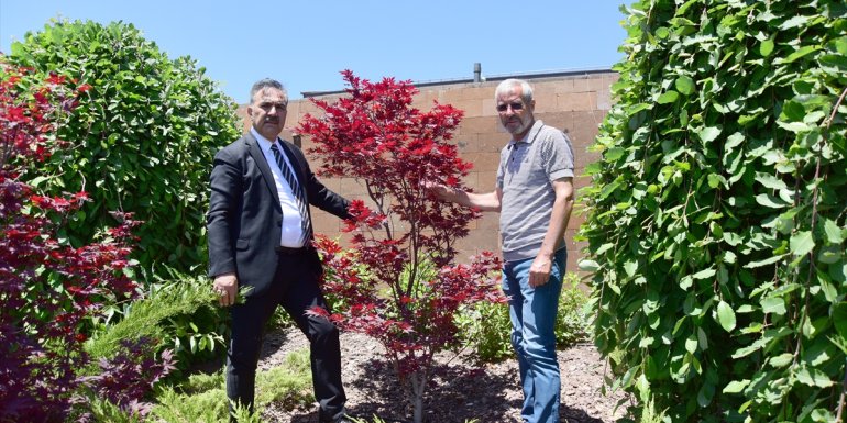 Ahlat'ta 41 bitki ve ağaç türü ilk kez yetiştirildi