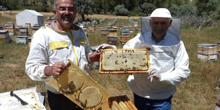 AK Parti Genel Başkanvekili Binali Yıldırım Erzincan'da bal hasadı yaptı